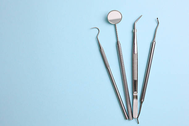 Top rated local Dental specialists in West Samoset, FL